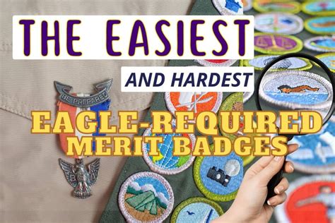 Elevating Your Skills with the Matic Merit Badge